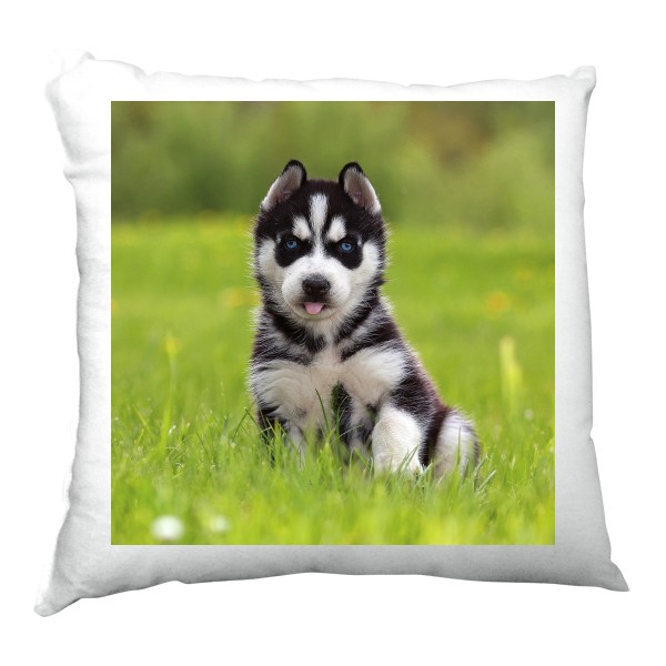 Polštář saténový s potiskem sibiřský husky polštář