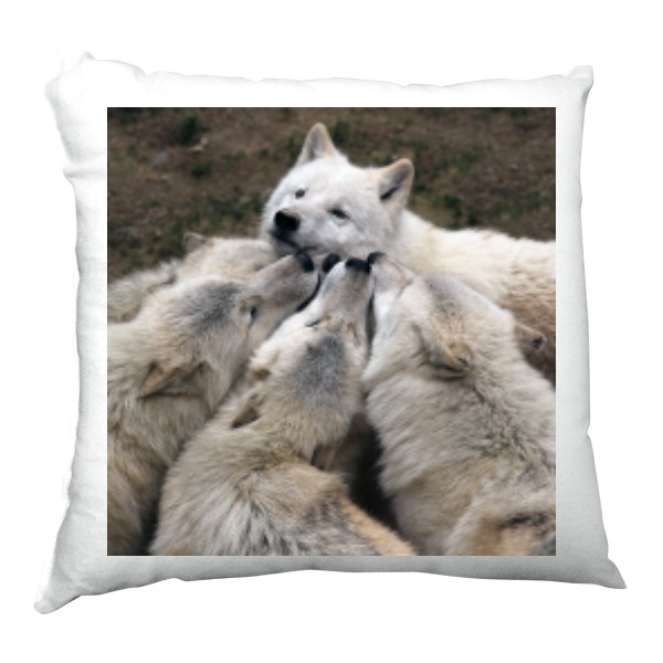 Polštář saténový s potiskem vlk arktický polštář
